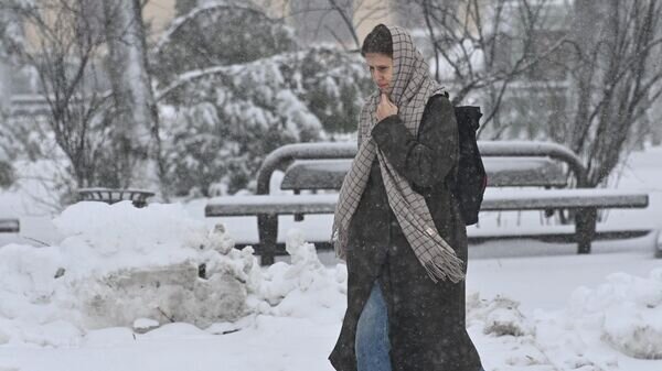    © Sputnik / Виктор Толочко