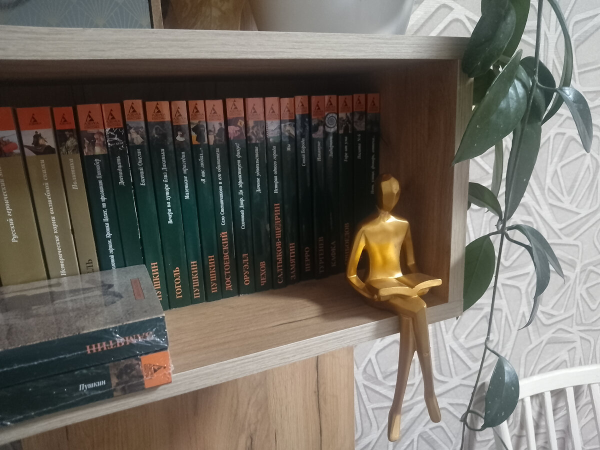 Золотой читатель, любимая статуэтка. Хоть и с переломом ноги. И головы, если честно)))