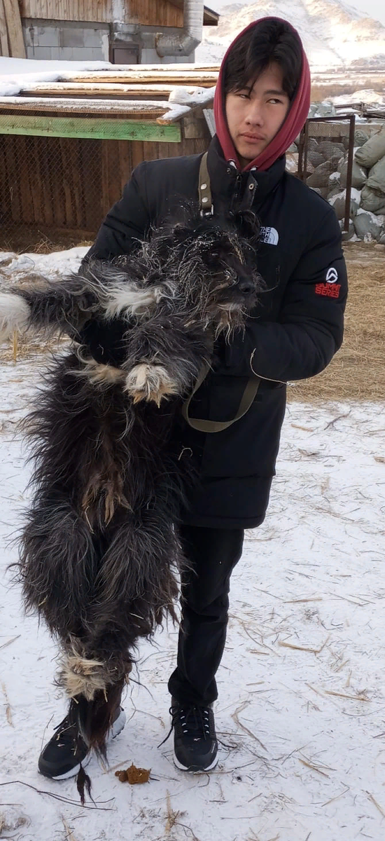 Урааа!!! нашли своего хвостика старые хозяева с Кяхты