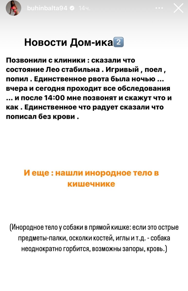 Новости Дом-ика2️⃣ от 16.01.24 Ужасный день, но Крис довольна. Две Элины.  Мама вернулась. Клава ждёт решения от Игоря. Дима и Саша - семья. | Новости  ДОМ-ика 2️⃣. | Дзен