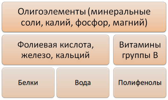 Химические элементы, витамины и прочие соединения содержащиеся в пиве