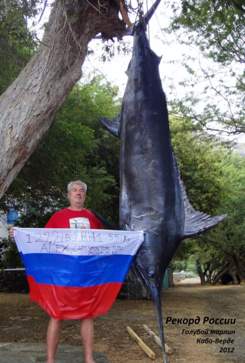 Foto do arquivo pessoal de Alexander Trukhachev