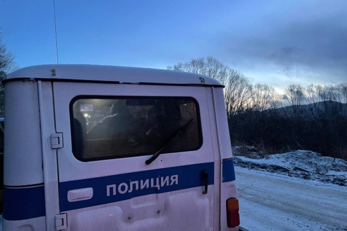    Полицейские задержали жительницу Камчатки, тяжело ранившую приятеля