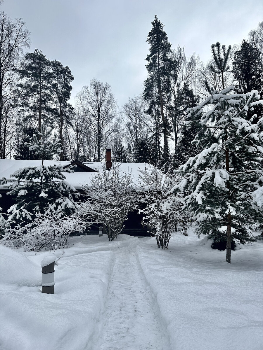 Экоотель "Романов лес"