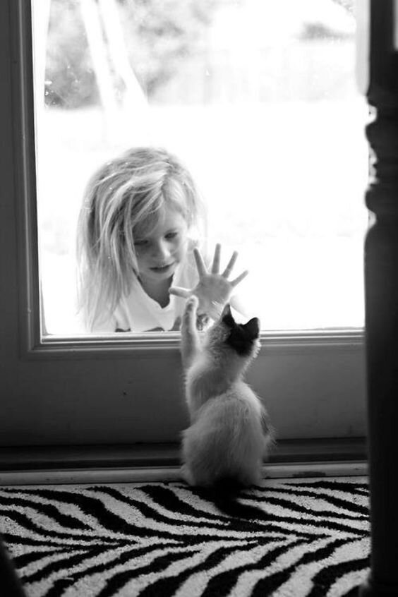Фото: Willy Ronis