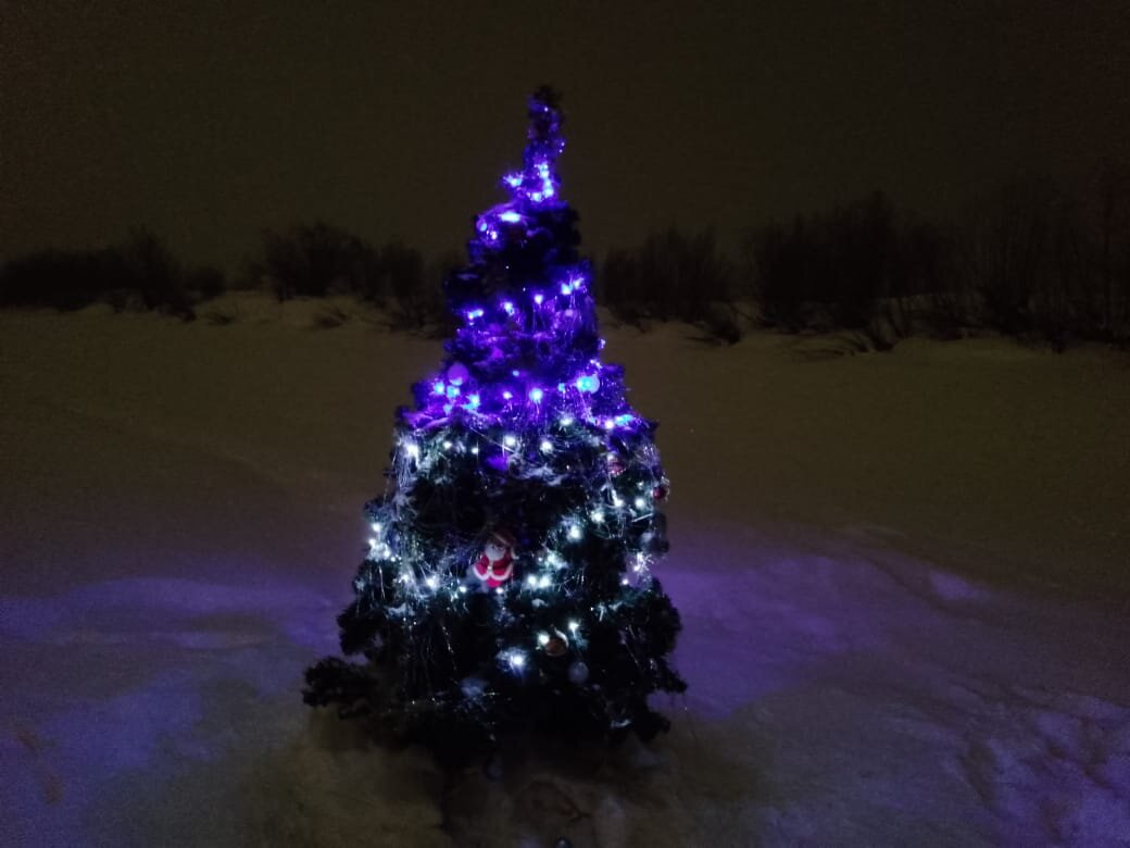 Вечерами ходила с гирляндами, полюбоваться )