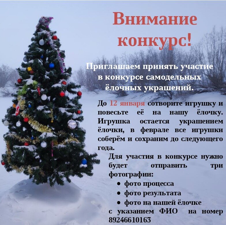 Изначально планировалось собирать работы до 5 января, но было решено захватить все новогодние каникулы и подвести результаты на Старый Новый год.