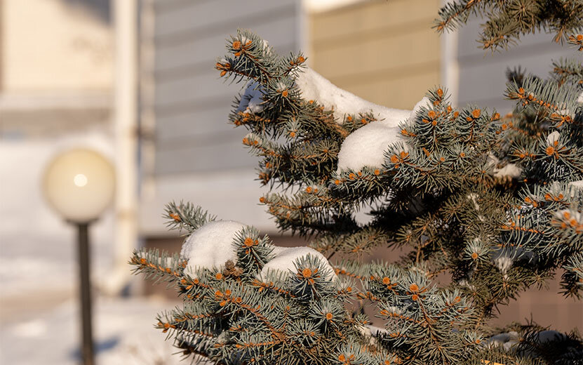    Новости Ижевска на утро 16 января: ДТП с фурой и цистерной и ультиматум мэра