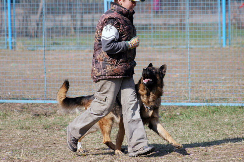 из свободного доступа