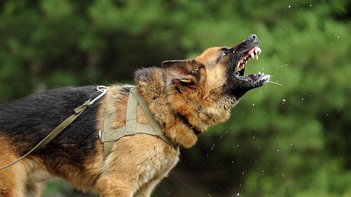    Фото: Shutterstock