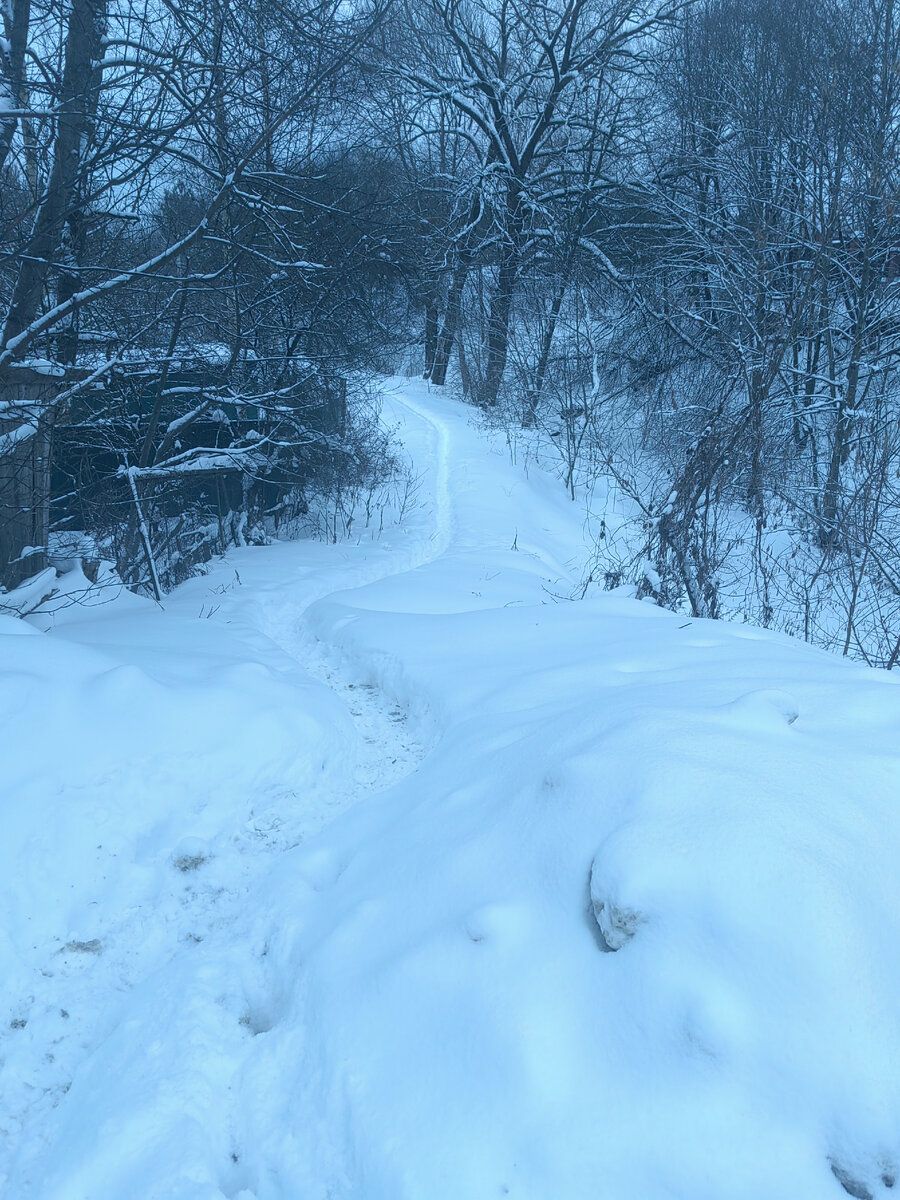 Петляет тропиночка...Идешь,как на болоте,оступился-провалился.