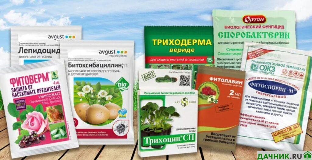 Почему применение биологически