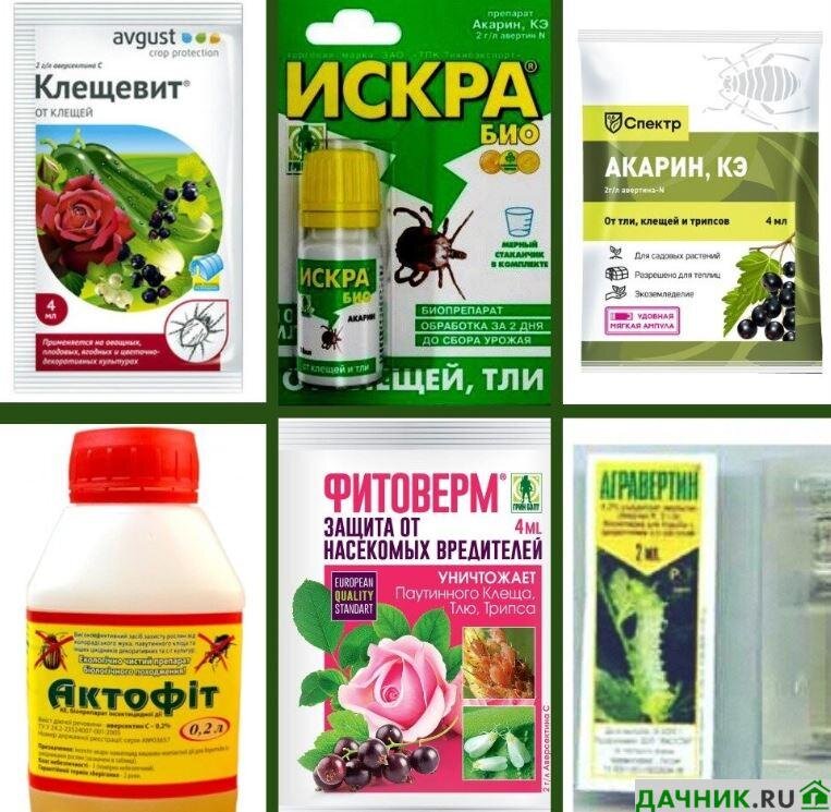 Грибные биопрепараты