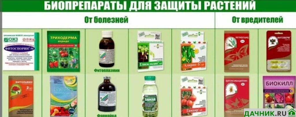 Важность применения биопрепаратов: преимущества и причины использования