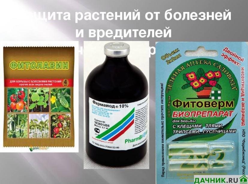 Выбор подходящего места для посадки