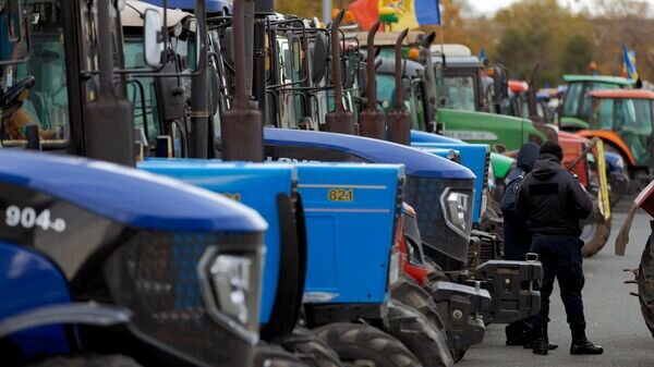    © Sputnik / Osmatesco