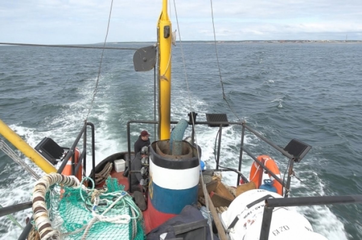    Более 380 тысяч тонн минтая выловят на Камчатке в Охотоморскую путину