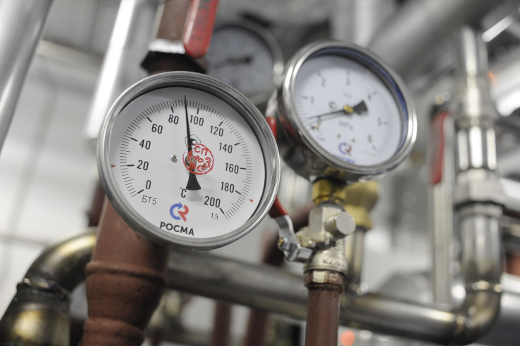 Фото: пресс-служба правительства Ленинградской области