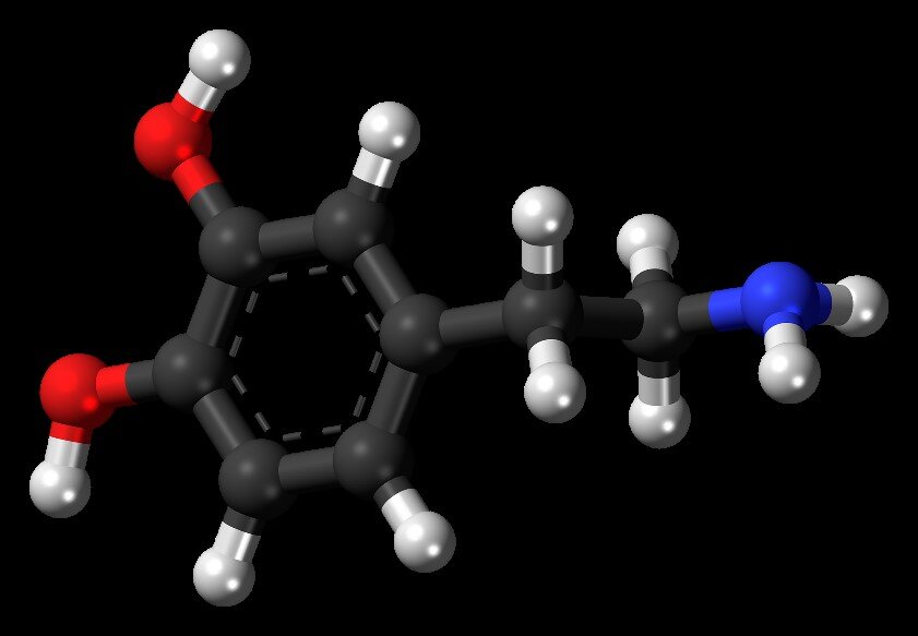 Модель  молекулы дофамина, влияющего на центры вознаграждения и удовольствия  мозга: углерод (черным цветом), водород (белым), кислород (красным),  азот (синим). © CC0 1.0/Jynto (talk)