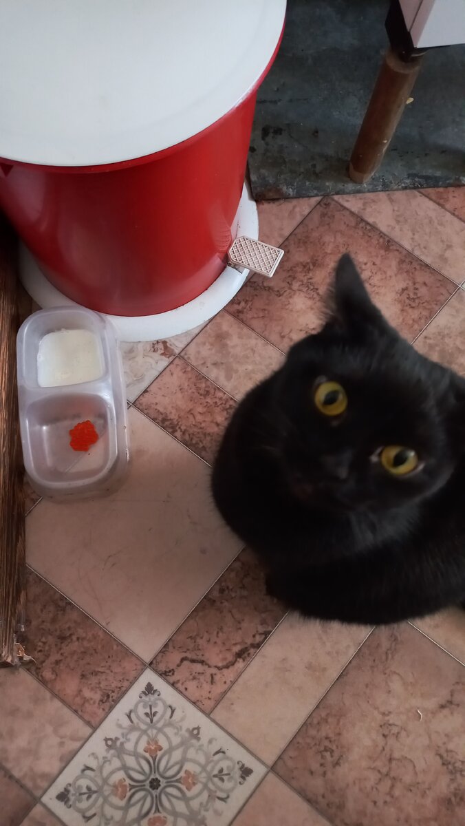 Кокос и красная икра