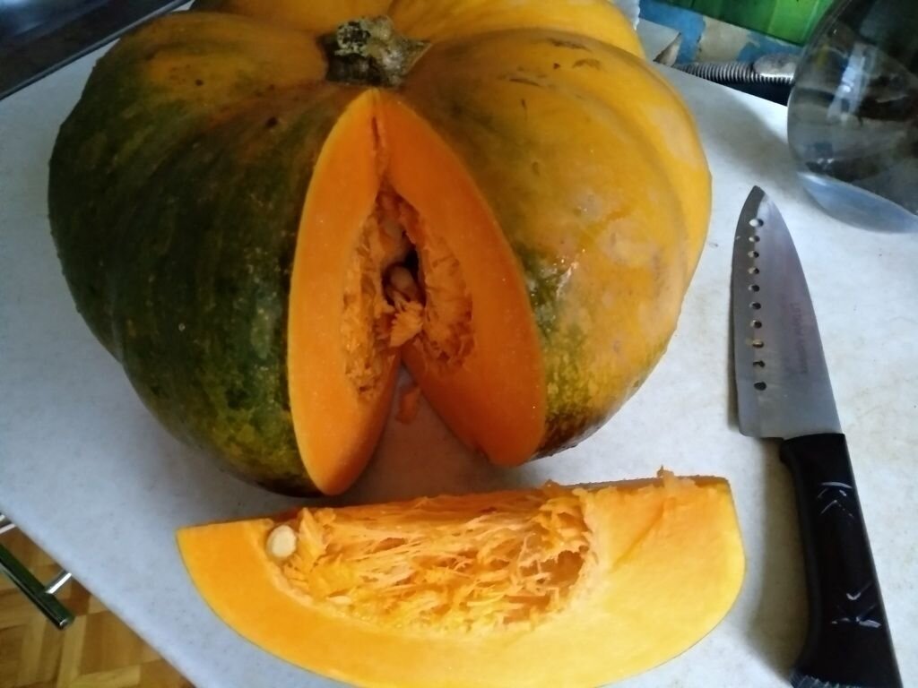 Какие сорта лучше хранятся