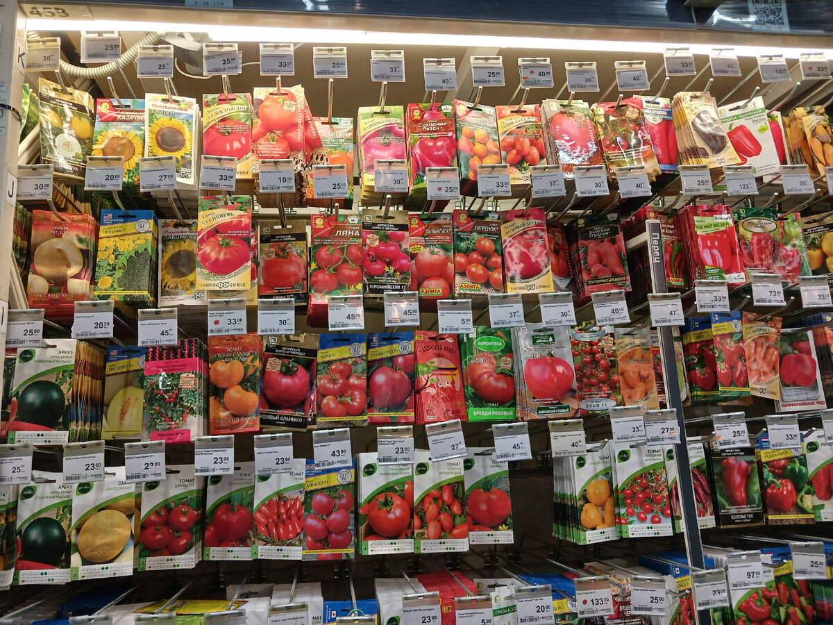 Арбузы, дыни, подсолнечник, томаты