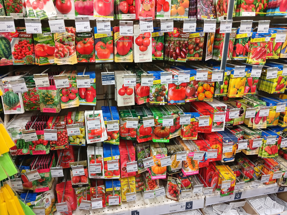 Крупные, мелкие, красные, оранжевые и др томаты