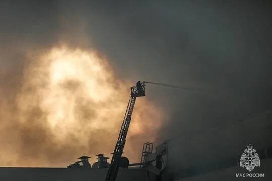    Сотрудник склада Wildberries в Шушарах признался в поджоге