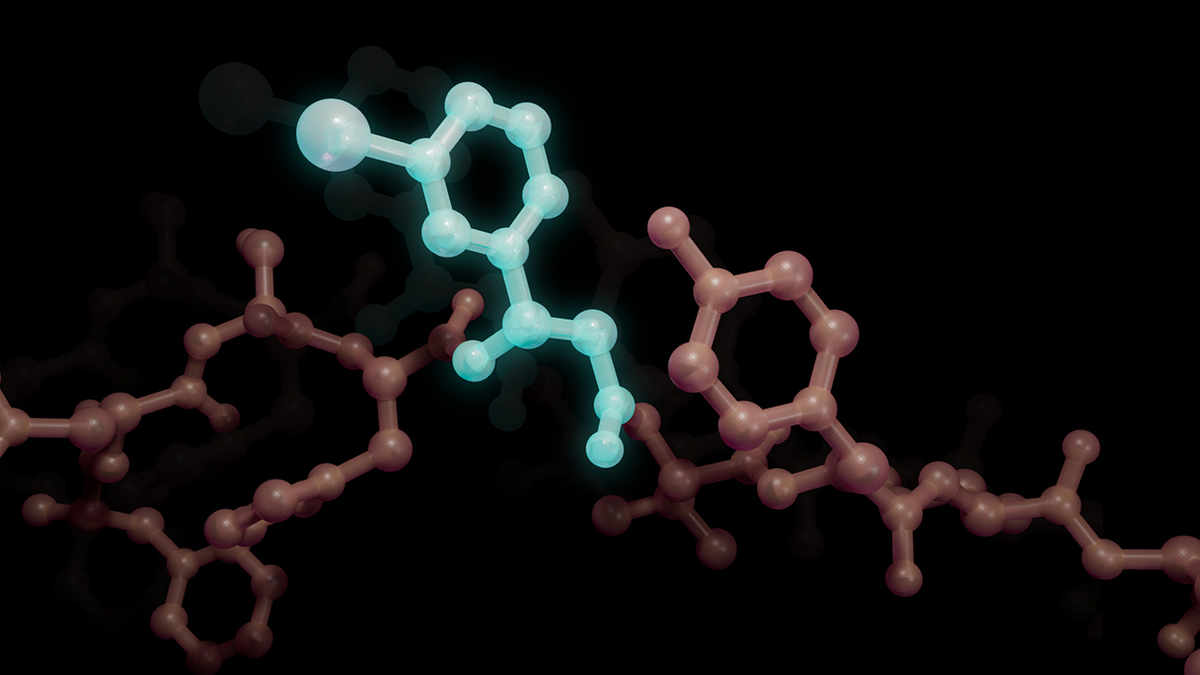 Белок, созданный бактерией Escherichia coli, включает бета-аминокислоту (синяя) - строительный блок, который обычно не используется в природе. Иллюстрация: S. Nayak/VISLAB.