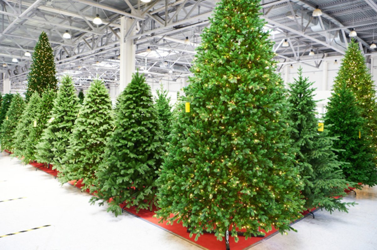    Праздник за 20 рублей.