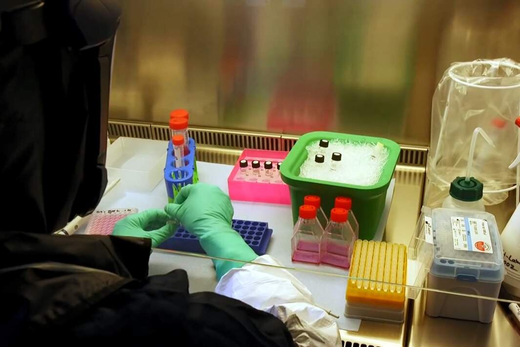 Фото: Global Look Press/Cover Images