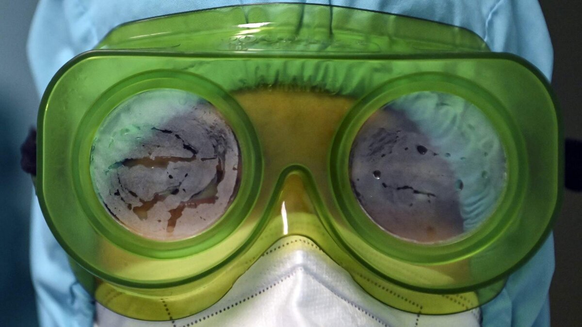 Фото: РИА Новости/Максим Богодвид