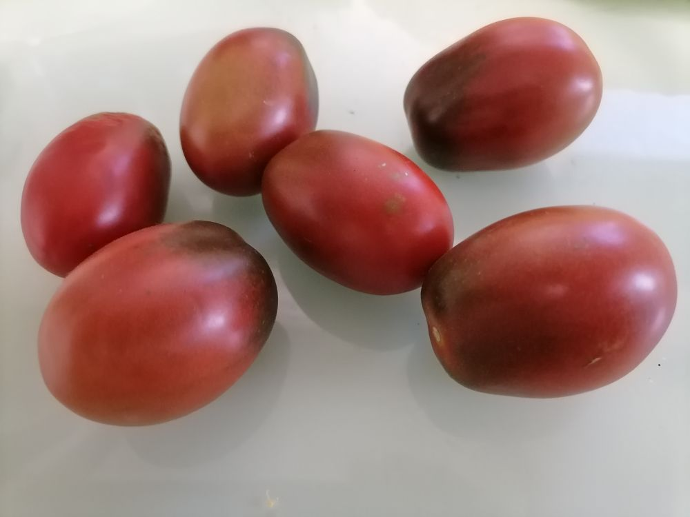 Мой Де Барао черный