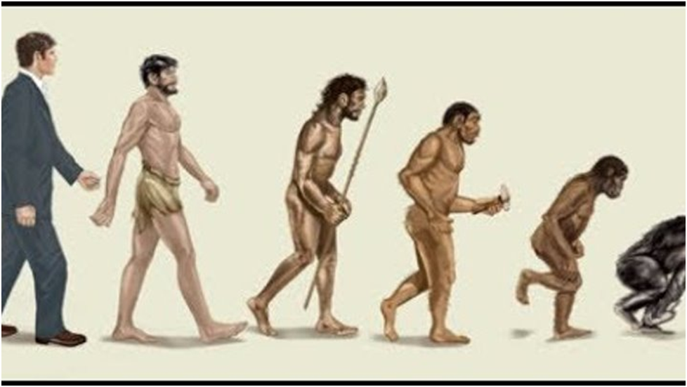 Эволюционирует ли человек. Хомо сапиенс Эволюция Эволюция следующая ступень. Превращение обезьяны в человека. Обратная Эволюция в обезьяну. Человек превращается в обезьяну.
