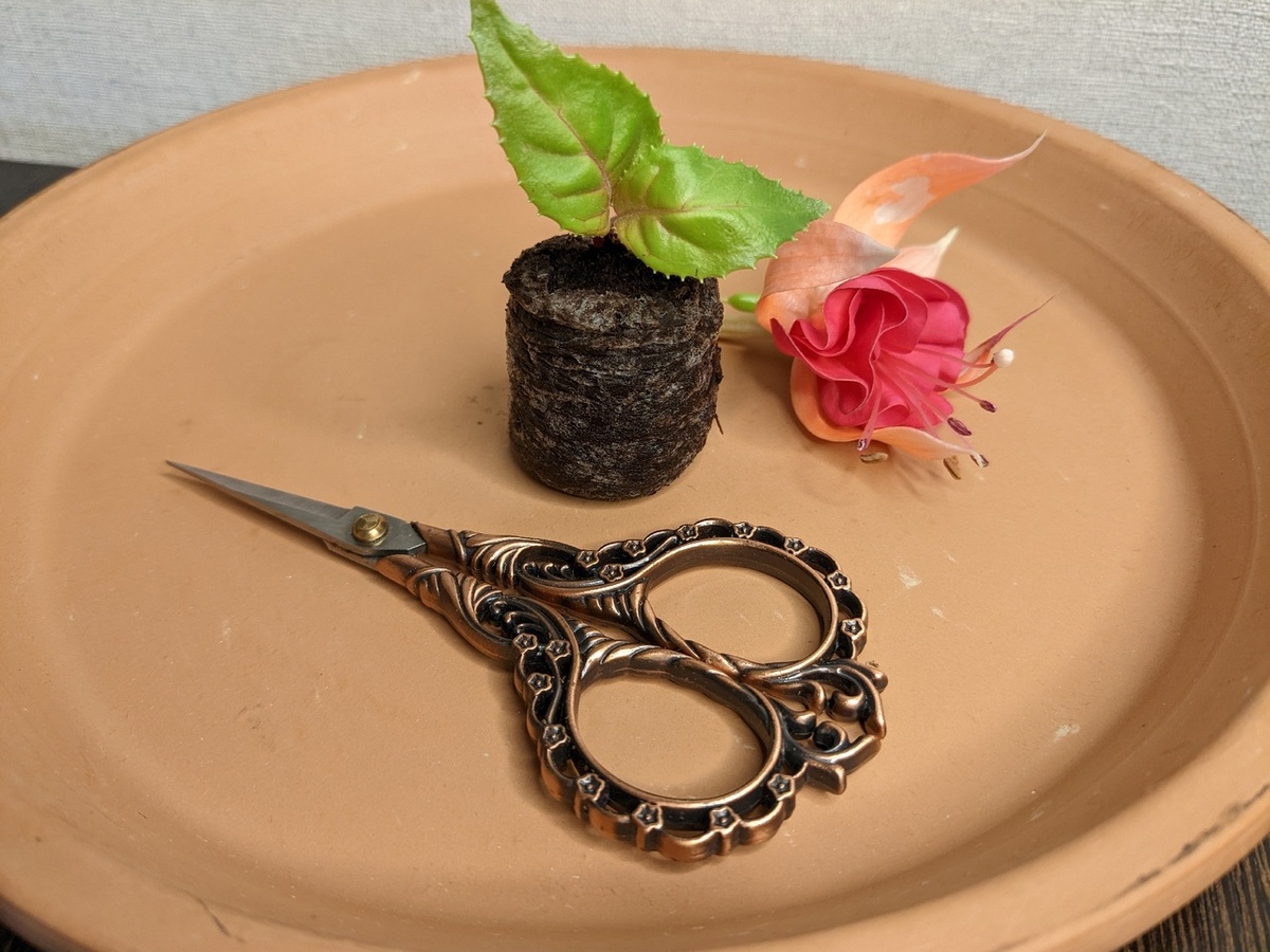 Инструмент, который нужен почти ежедневно