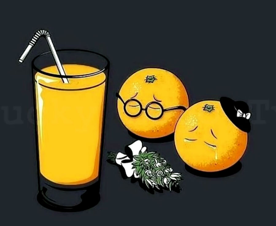 Фильм я плюю на ваши могилы 1. Жестокость порождает только жестокость. Физическое и психическое насилие. Буллинг в школе. Как найти жестокость.