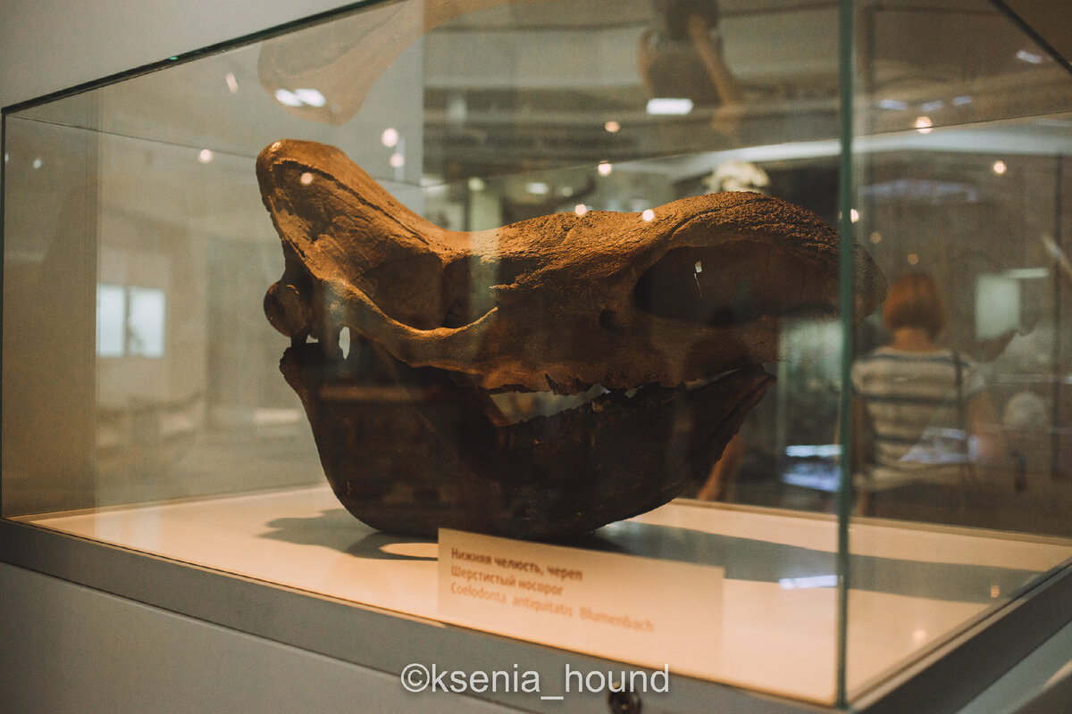 Метеорит февраль 2013. Челябинский метеорит 10 лет спустя мем. Метеорит февраль 2013. Челябинский метеорит вспышка. Метеорит упал в челябинске.