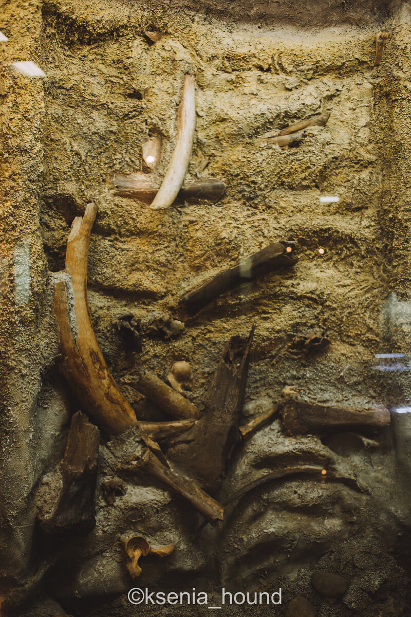 Impact simulator. симулятор падения метеорита. метеорит падает на землю. карта падения астероидов. метеор игра.