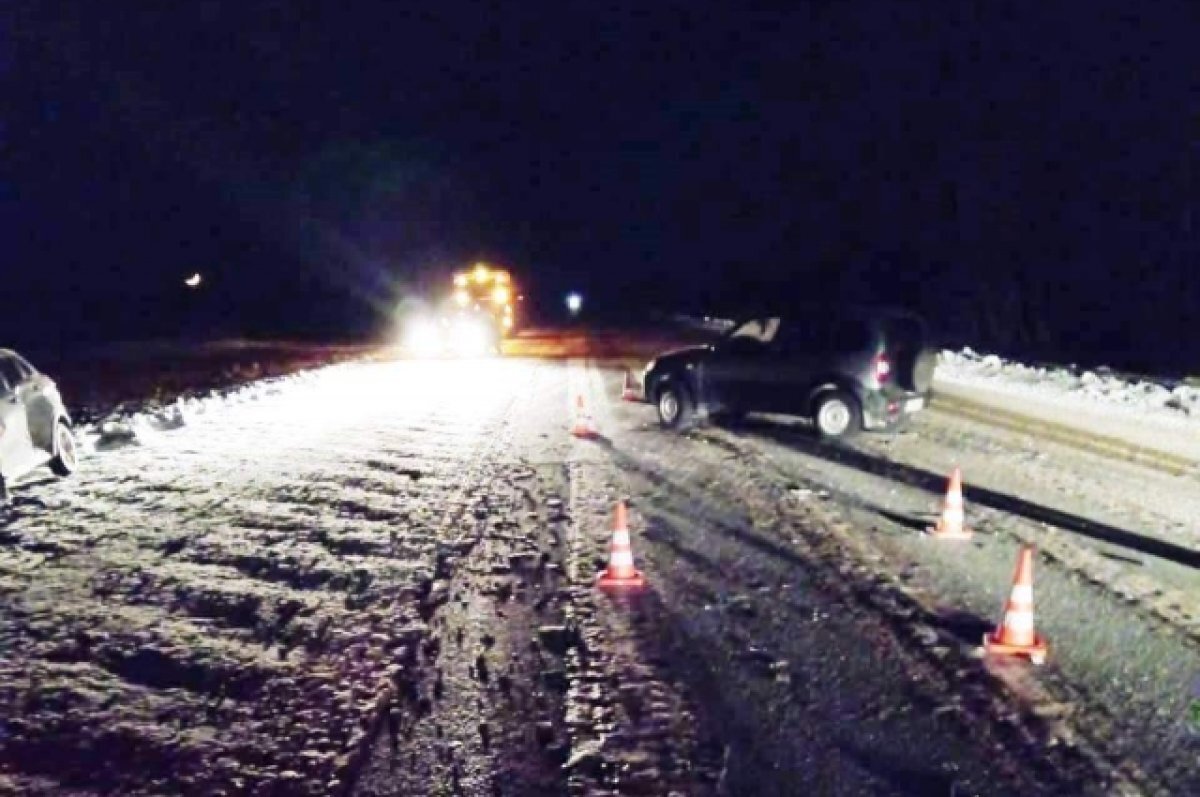    В Омской области водитель объезжал косулю и въехал во встречный автомобиль