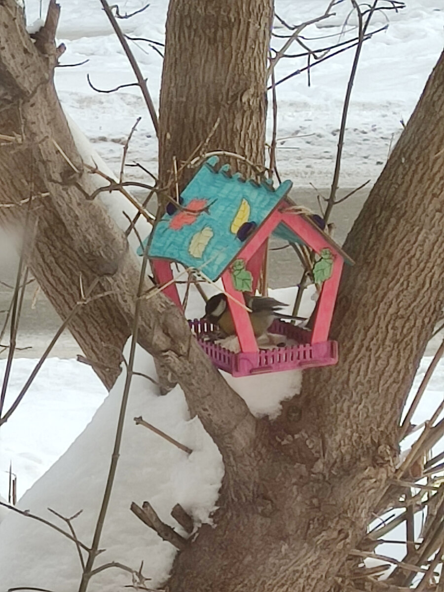 Фото автора 