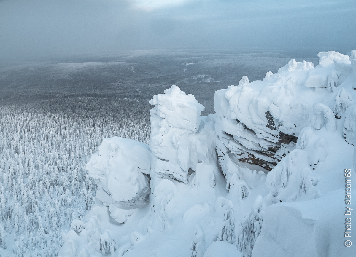 Роскошный зимний вид на расстилающуюся внизу парму