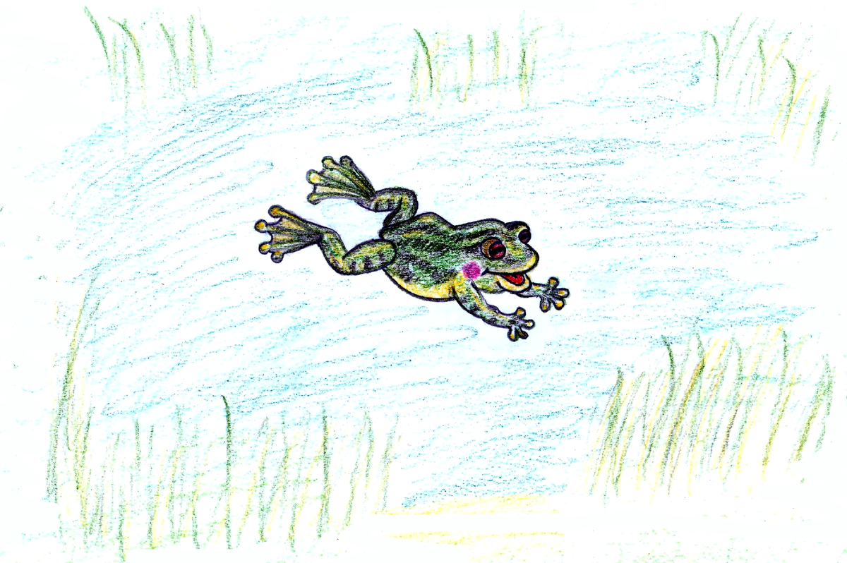 рисунок автора