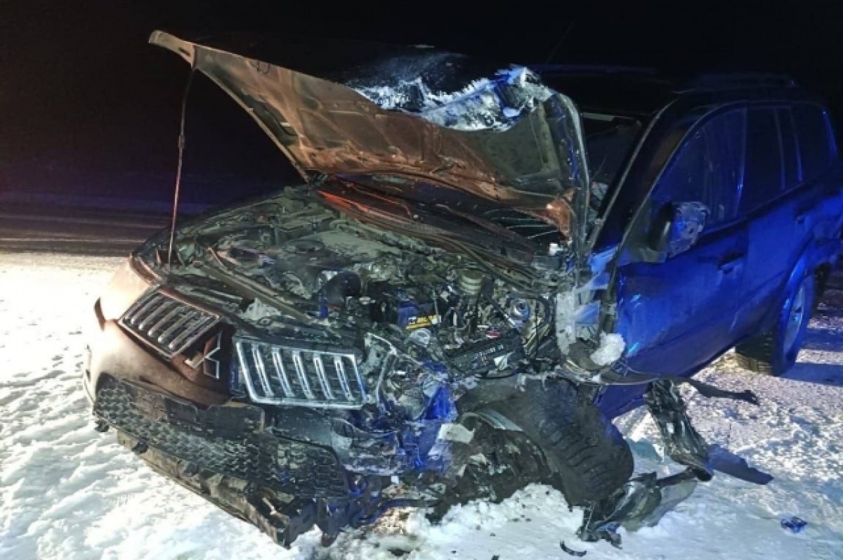    Виновника ДТП с двумя погибшими в Оренбургском районе заключили под стражу.