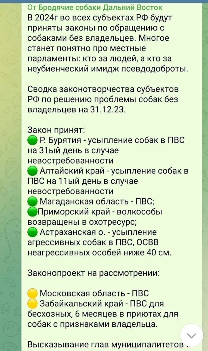 Повсеместно внедряется эвтаназия. Мы считаем , что это-ошибочный метод  борьбы с бездомными животными | Джим ЧУСОВОЙ | Дзен