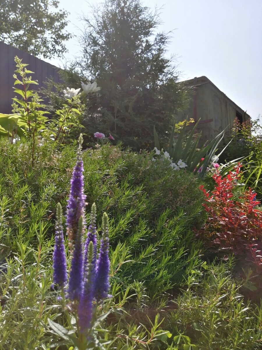 На место этого железного вагона будет погреб... когда-нибудь