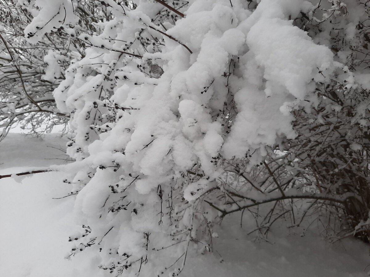 Зимняя красота!