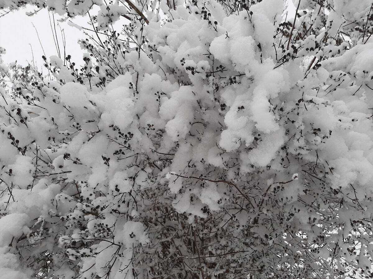 Тяжела ноша, но как прекрасна!