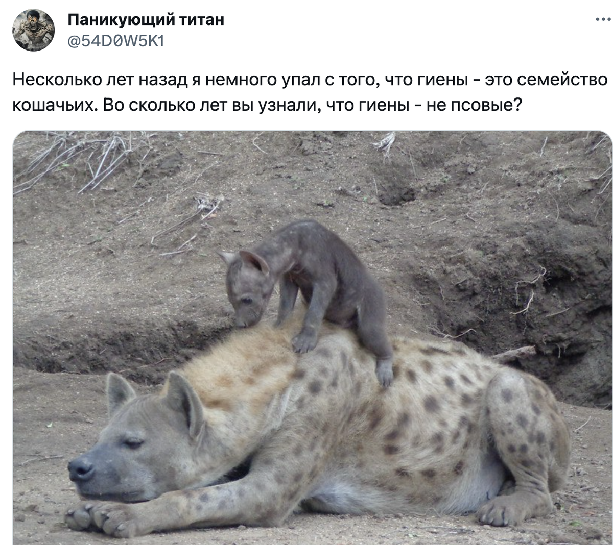 Форум сколько можно