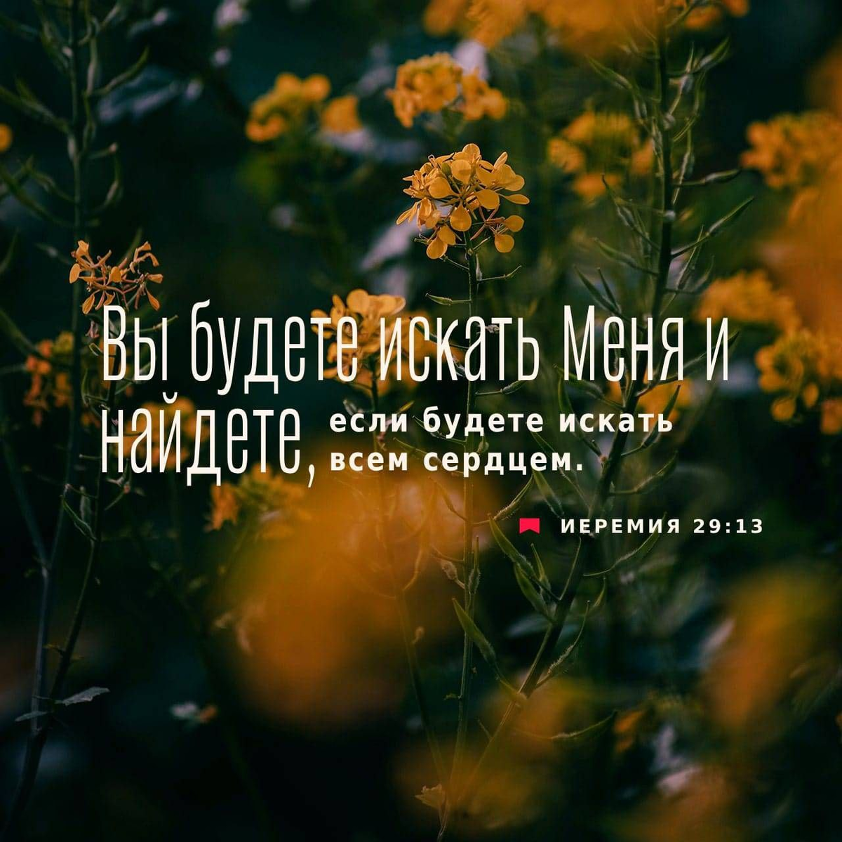 Иеремии 29:13