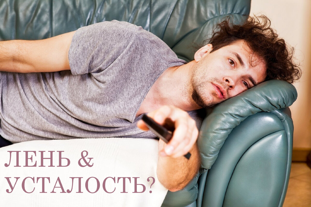 леня синонимы. леня синонимы. как определить синонимы и антонимы. ленивый тюлень. что такое лень кратко.